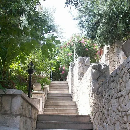 Guest house Luka 3*